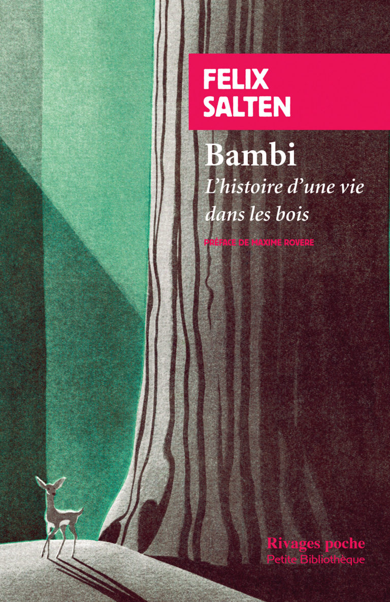 Bambi L Histoire D Une Vie Dans Les Bois Nicolas Waquet